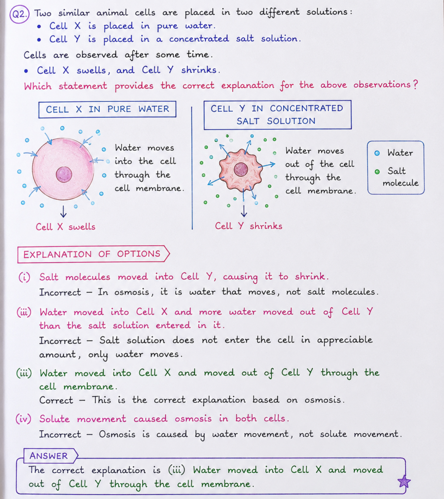 Two similar animal cells are placed in two different solutions