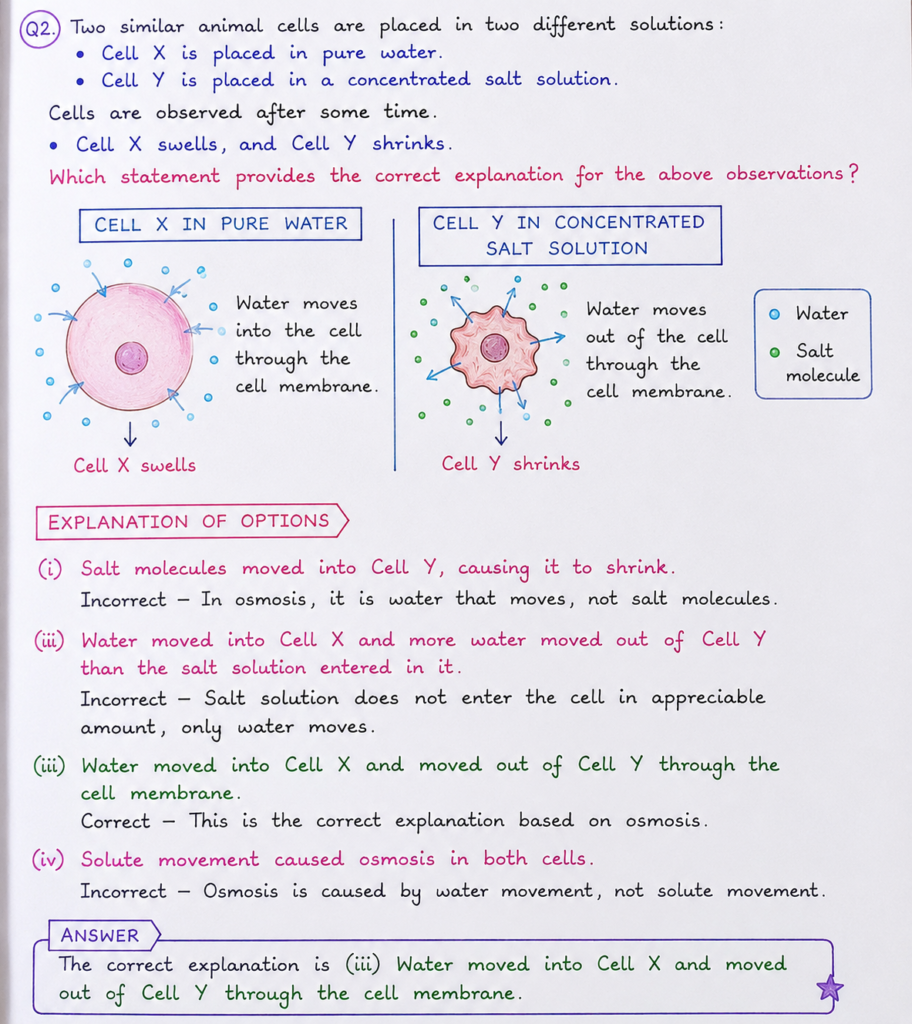 Two similar animal cells are placed in two different solutions
